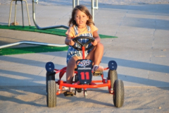 Kart a pedal 03