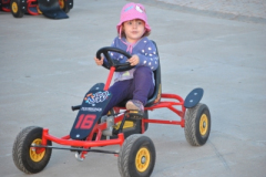 Kart a pedal 02