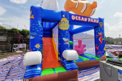 Nemo 01